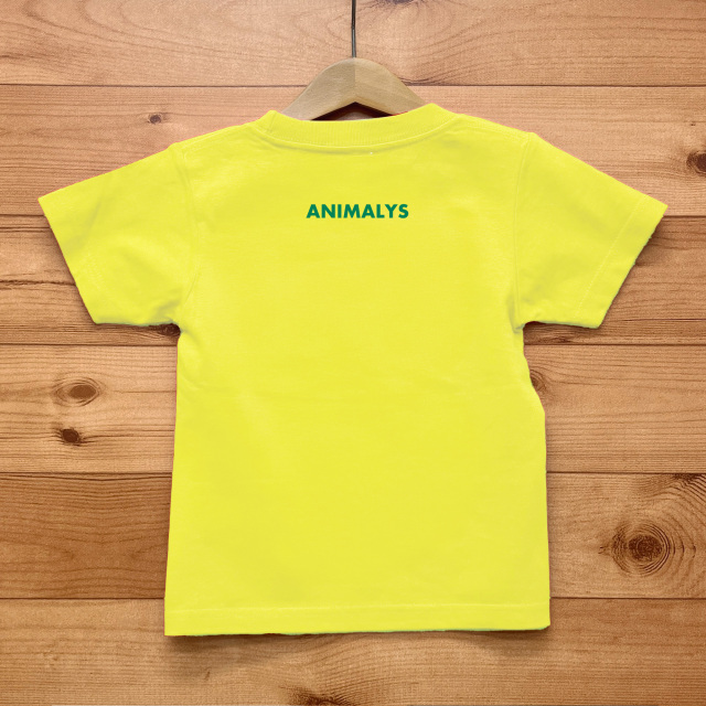 LIONY（ライオニー）