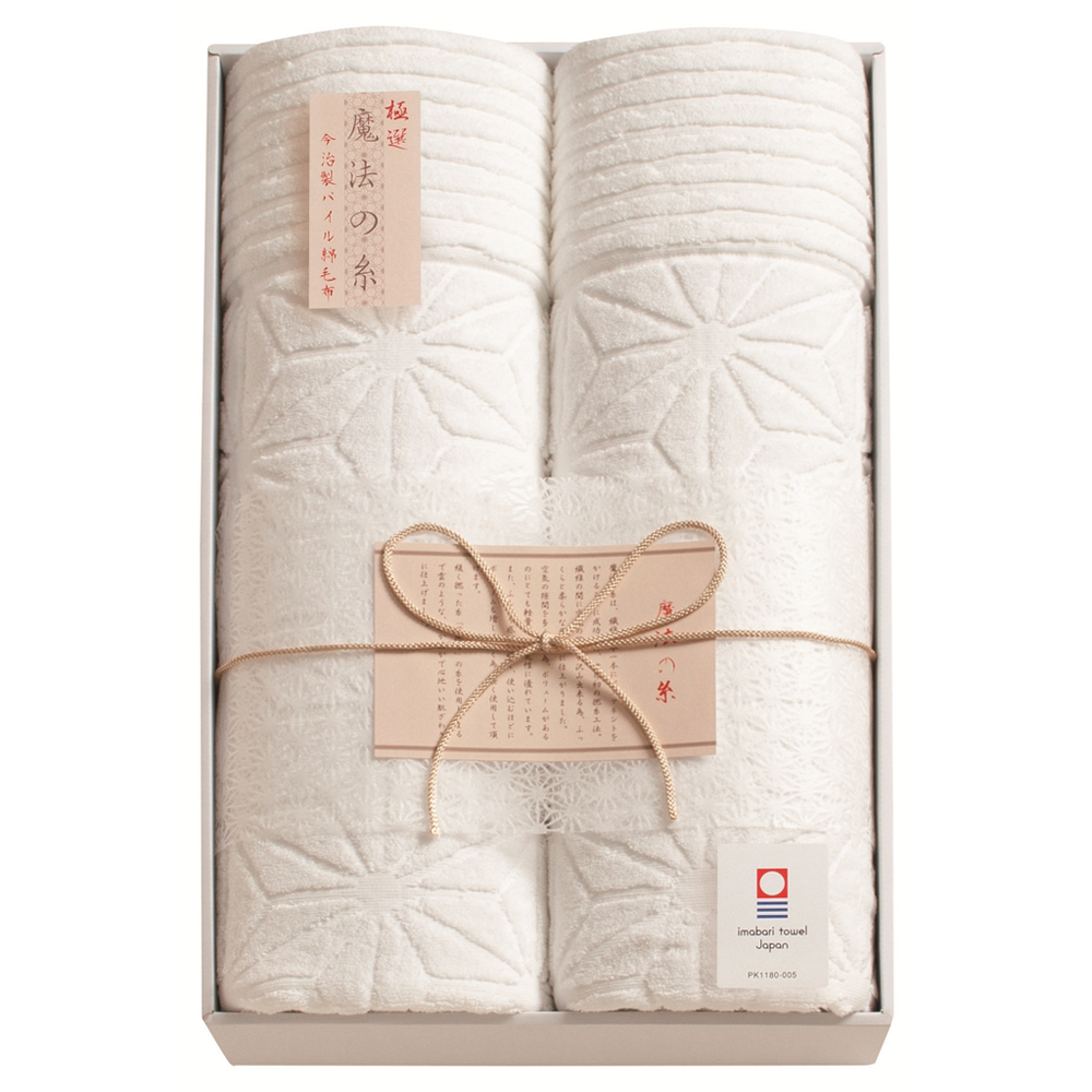 極選 魔法の糸 今治製パイル綿毛布2P