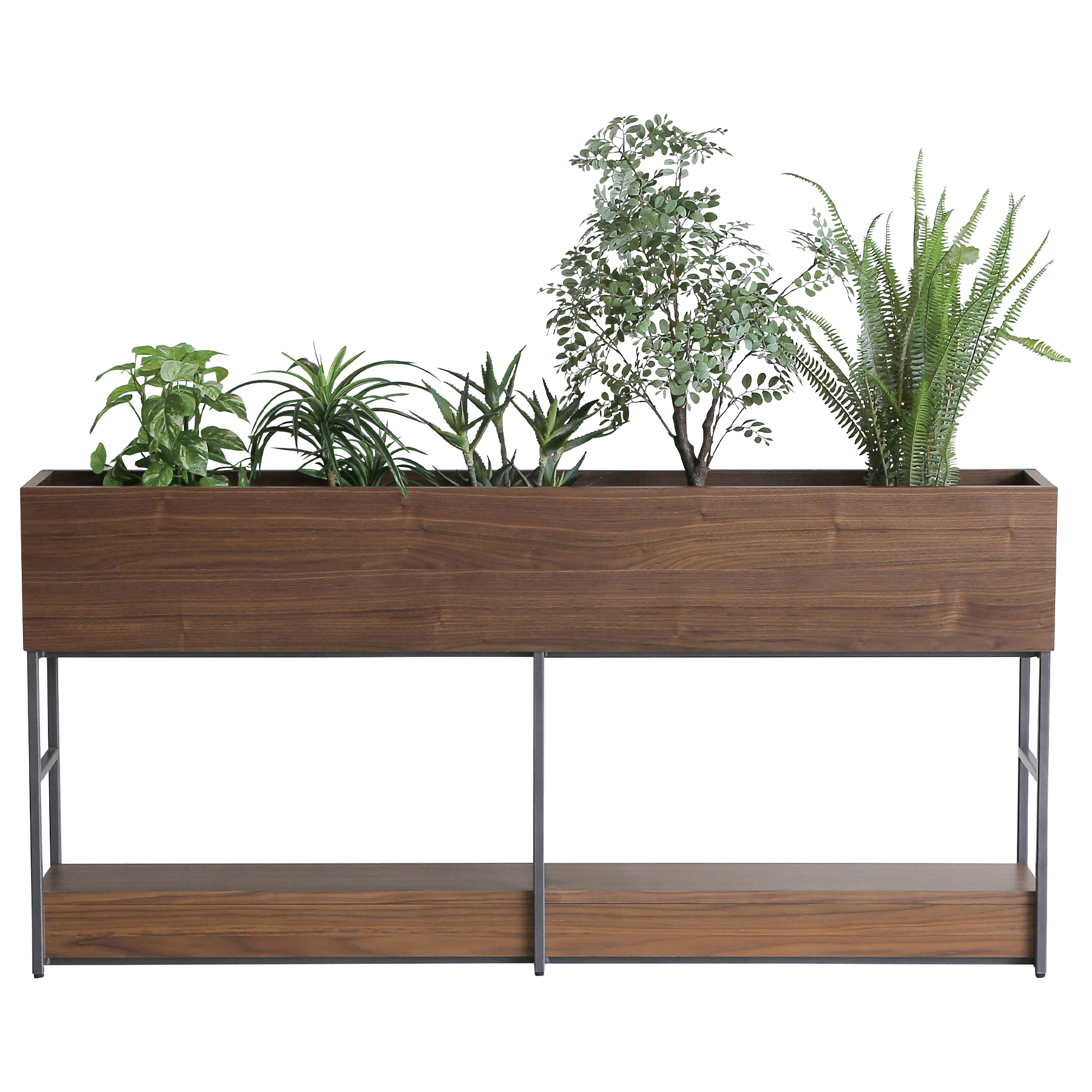 ドックプランターオーク