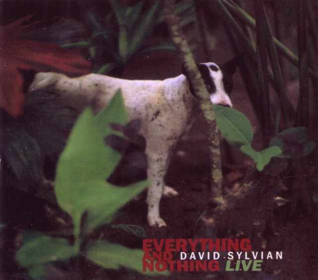 David Sylvian デヴィッド・シルヴィアン/Tokyo,Japan 2001