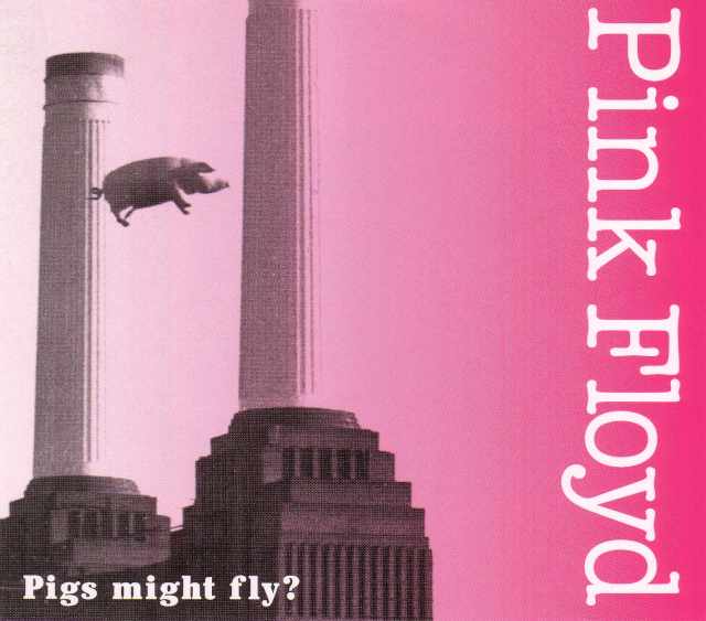 Pink Floyd ピンク・フロイド/New York,USA 1977