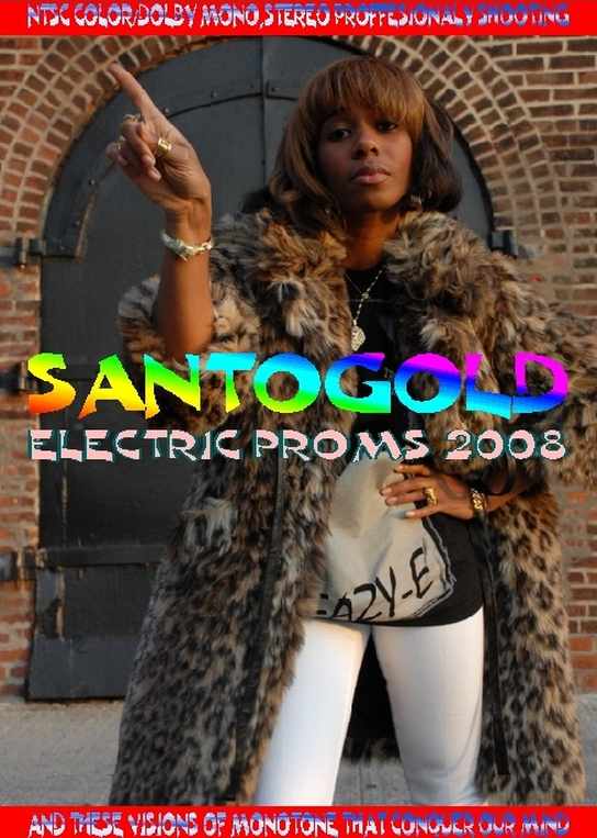 Santogold サントゴールド/Lowlands festival,Holland 2008
