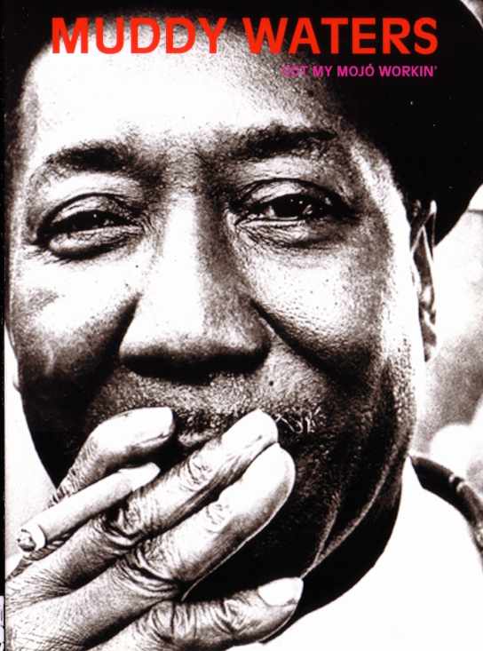Muddy Waters マディ・ウォーターズ/TV Live Compilation