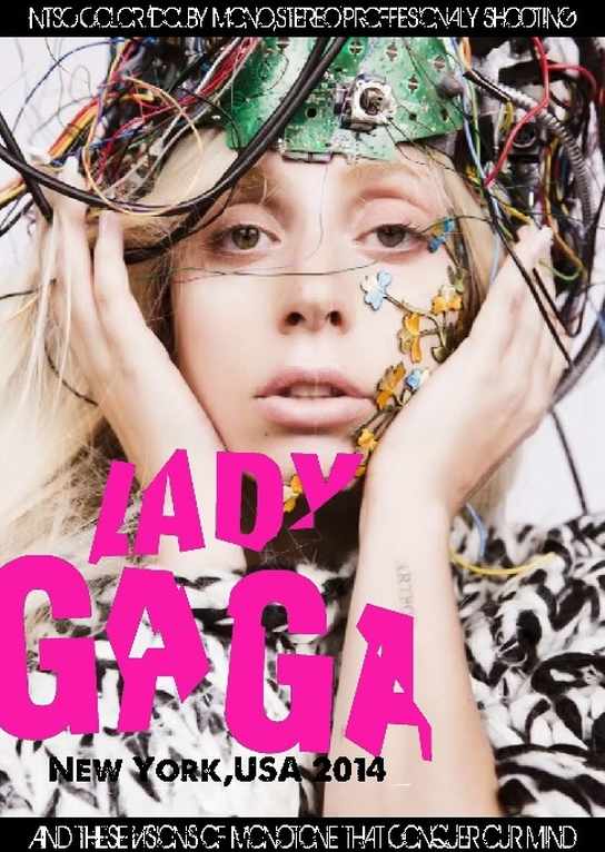 Lady Gaga レディー・ガガ/New York,USA 2014