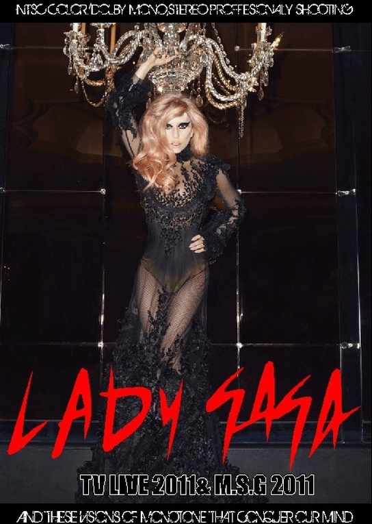 Lady Gaga レディ・ガガ/TV Live 2011 & M.S.G 2011