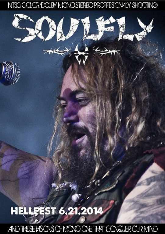 Soulfly ソウルフライ/France 2014