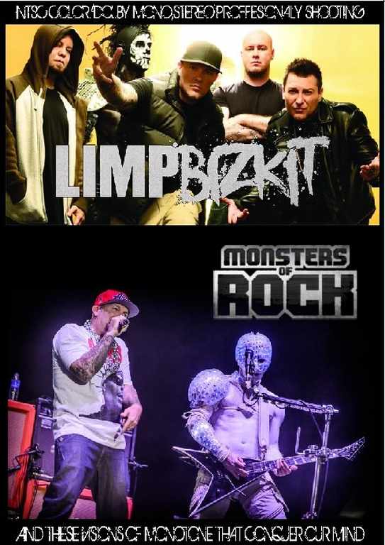 Limp Bizkit リンプ・ビズキット/Brazil 2013