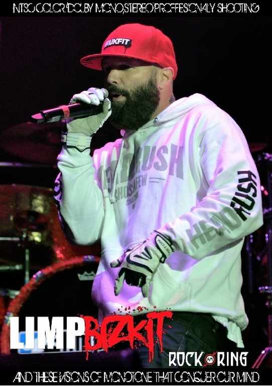 Limp Bizkit リンプ・ビズキット/Germany 2013