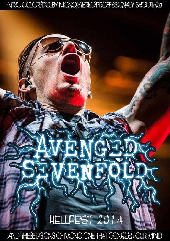Avenged SevenFold アヴェンジド・セヴンフォールド/France 2014