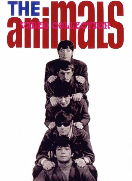 Animals アニマルズ/Video Collection
