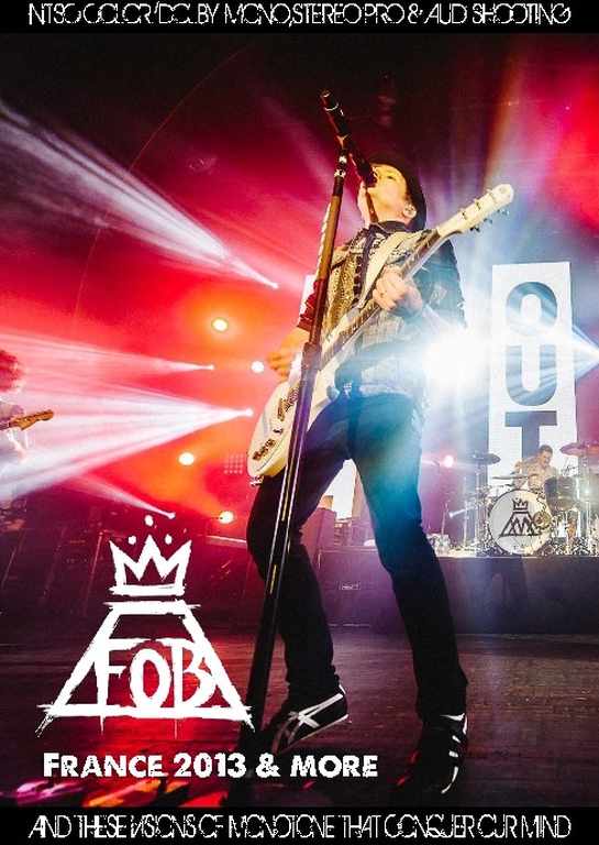 Fall Out Boy フォール・アウト・ボーイ/France 2013 & more