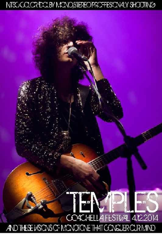Temples テンプルズ/California,USA 2014