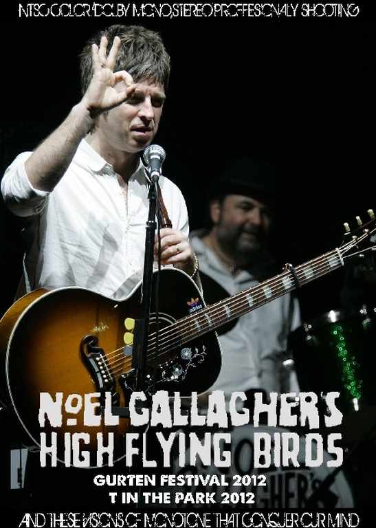 Noel Gallagher's High Flying Birds ノエル・ギャラガー/Switerland 2012