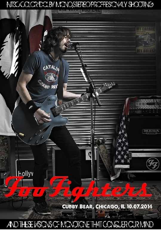 Foo Fighters フー・ファイターズ/Illinois,USA 2014
