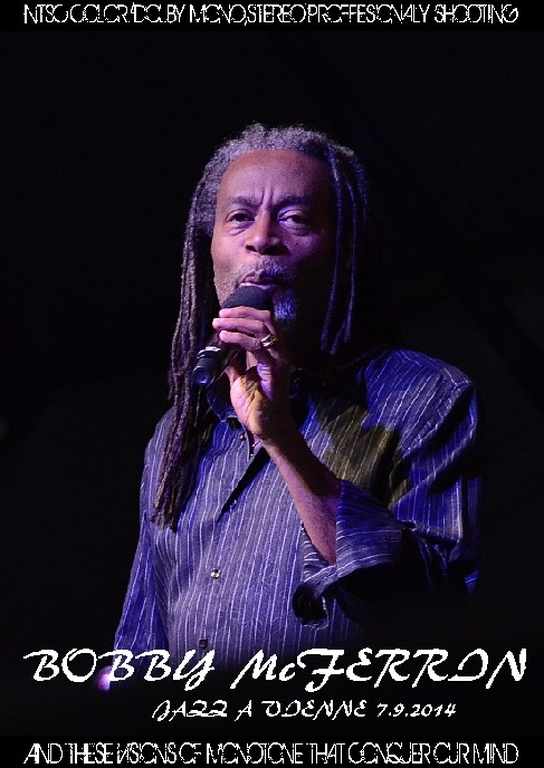 Bobby McFerrin ボビー・マクファーリン/France 2014