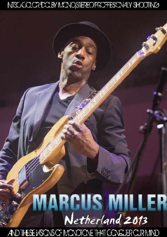 Marcus Miller マーカス・ミラー/Netherland 2013