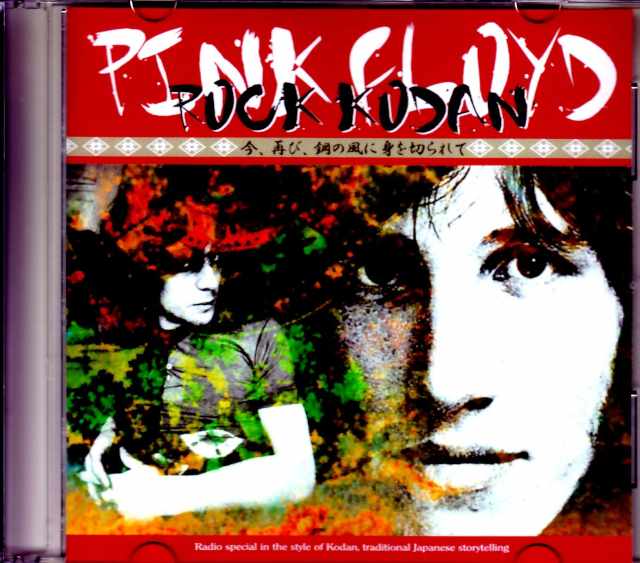Pink Floyd ピンク・フロイド/今、再び、鋼の風に身を切られて