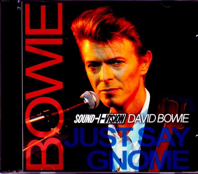 David Bowie デヴィッド・ボウイ/WA,USA 1990 Upgrade