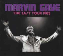 Marvin Gaye マーヴィン・ゲイ/Indiana,USA 1983