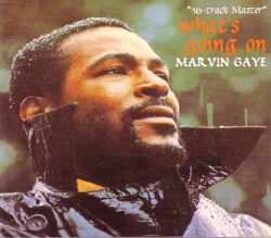 Marvin Gaye マーヴィン・ゲイ/What's Gong On 16 Track Master