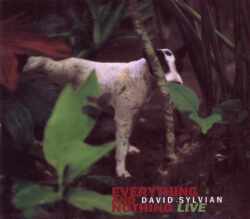 David Sylvian デヴィッド・シルヴィアン/Tokyo,Japan 2001