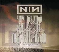 Nine inch Nails ナイン・インチ・ネイルズ/Osaka,Japan 2009