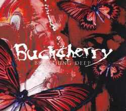 Buckcherry バックチェリー/Osaka,Japan 2008