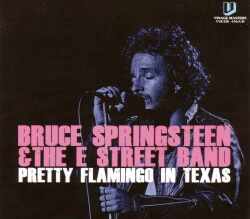 Bruce Springsteen ブルース・スプリングスティーン/Texas,USA 1975