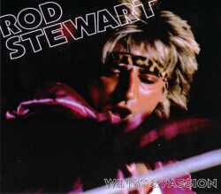 Rod Stewart ロッド・スチュワート/Tokyo,Japan 1981