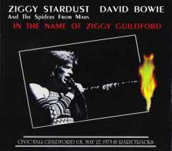 David Bowie デヴィッド・ボウイ/UK 1973 & Rare Tracks