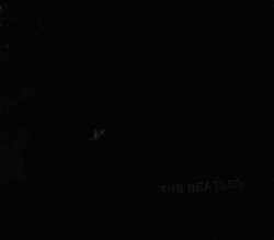 Beatles ビートルズ/Black Album Grade Up Version
