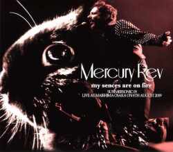 Mercury Rev マーキュリー・レヴ/Osaka,Japan 2009