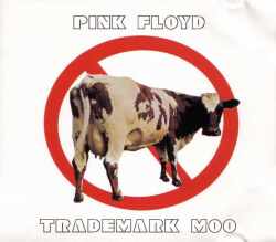 Pink Floyd ピンク・フロイド/New York,USA 1970