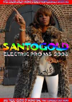 Santogold サントゴールド/Lowlands festival,Holland 2008