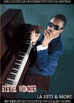 Stevie Wonder スティーヴィー・ワンダー/1970's Rare Compilation