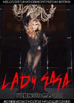 Lady Gaga レディ・ガガ/TV Live 2011 & M.S.G 2011