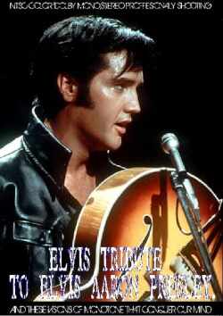 Various Artists エルヴィス・プレスリー/Tribute to Elvis Presley