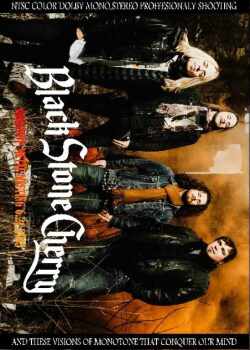 Black Stone Cherry ブラック・ストーン・チェリー/Belgium 2015