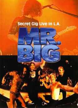 Mr.Big ミスター・ビッグ/California,USA 1999