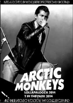 Arctic Monkeys アークティック・モンキーズ/Illinois,USA 2014 & more