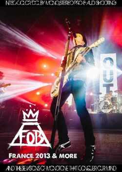 Fall Out Boy フォール・アウト・ボーイ/France 2013 & more