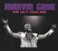 Marvin Gaye マーヴィン・ゲイ/Indiana,USA 1983