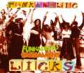 Funkadelic,Parllament ファンカデリック/Rare Compilation