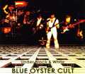 Blue Oyster Cult ブルー・オイスター・カルト/New York,USA 1972 & demos