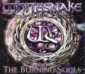 Whitesnake ホワイトスネイク/Osaka,Japan 2015