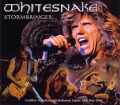 Whitesnake ホワイトスネイク/Kanagawa,Japan 2006