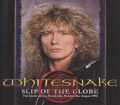 Whitesnake ホワイトスネイク/Sweden 1990