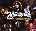 Whitesnake ホワイトスネイク/Tokyo,Japan 1980 & 1981