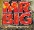 Mr. Big ミスター・ビッグ/Osaka,Japan 11.12.2014
