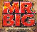 Mr. Big ミスター・ビッグ/Osaka,Japan 11.13.2014